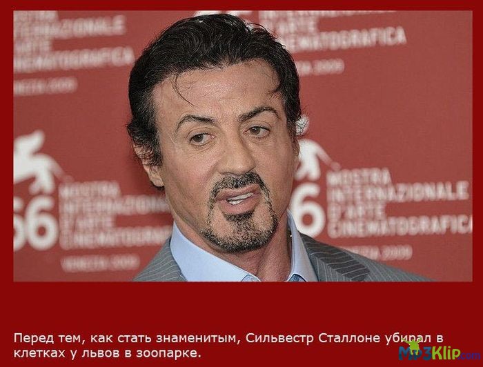 Факты о Сильвестре Сталлоне