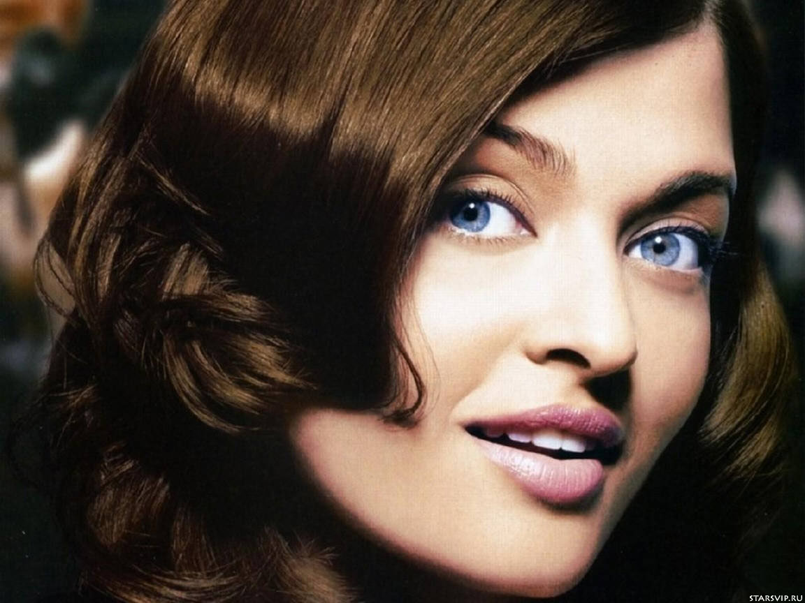 Mushuk va yaladi video