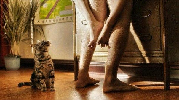 — Секс — это то, что происходит между двумя любящими