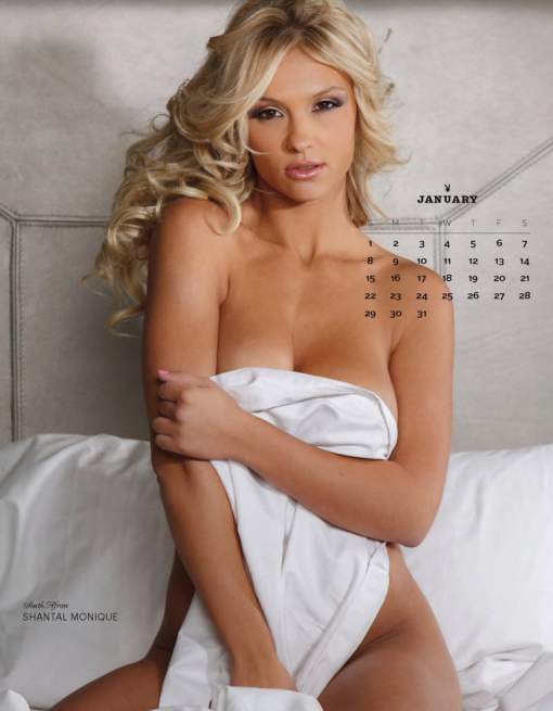 Календарь Playboy на 2017 год