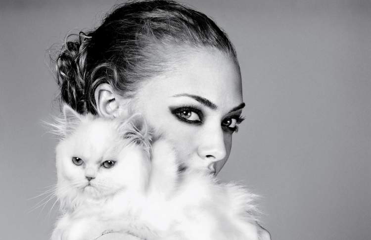 Обои на рабочий стол  аманда сайфред, актриса, девушка, портрет, ч.б., amanda seyfried