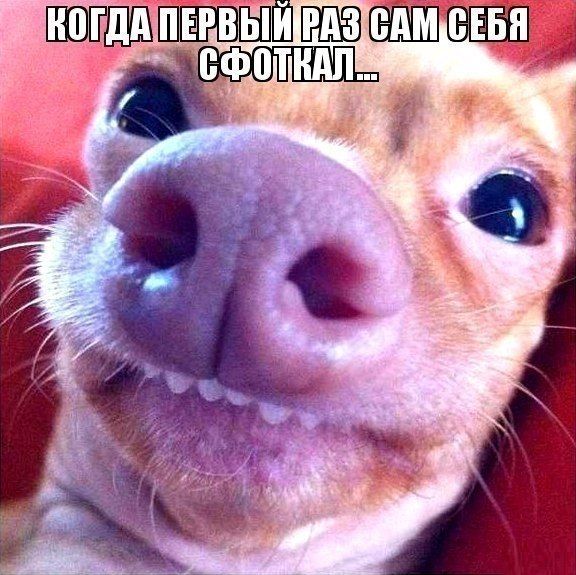 Самострелы...~:O)